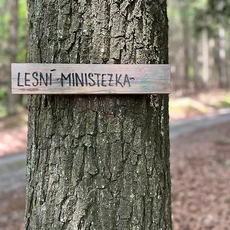 Pod Tresni Prázdninový dům *